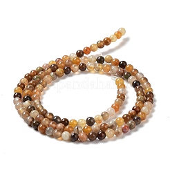 Natural Petrified Wood Round Bead Strands&nbsp;G-P070-69-3mm
