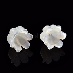 Natural White Shell Bead Caps&nbsp;SSHEL-N032-58B