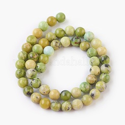Natural Serpentine Beads Strands&nbsp;G-G767-04-8mm