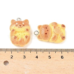 Cute Resin Pendants&nbsp;RESI-V005-005