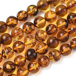 Natural Amber Beads Strands&nbsp;G-L095-B01-8mm-04