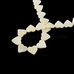 Heart Natural Sea Shell Beads Strands&nbsp;SSHEL-F290-06