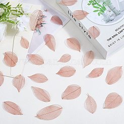 100Pcs Dried Flower Leaf Craft Supplies&nbsp;AJEW-CP0009-41C