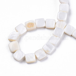 Natural Freshwater Shell Beads Strands&nbsp;SHEL-N026-209