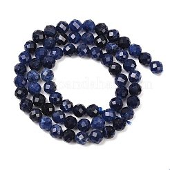 Natural Sodalite Beads Strands&nbsp;G-B175-D09-6mm