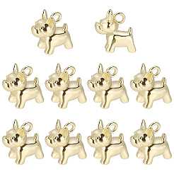 10Pcs Brass Charms&nbsp;KK-BBC0024-48