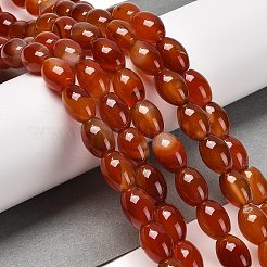 Natural Agate Beads Strands&nbsp;G-B079-E01-01