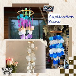 48Pcs 12 Colors Natural Shell Connector Charms&nbsp;SHEL-SC0001-72