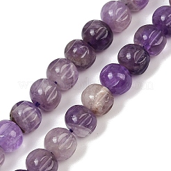 Natural Amethyst Beads Strands&nbsp;G-Z080-B04-8x6mm