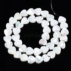 天然トロチッドシェル/トロカスシェルビーズ連売り  漂白  ハート  ホワイト  10x10x3mm  穴：0.8mm  約43~44個/連  15.35''（39~40センチメートル）&nbsp;SSHEL-N034-99B-B01
