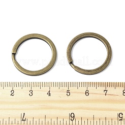アイアン製キーリング  ダブルループ丸カン  ラックめっき  アンティークブロンズ  25x2.5mm  内径：20mm&nbsp;FIND-B046-06A-AB