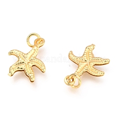 Brass Charms&nbsp;KK-B024-09G