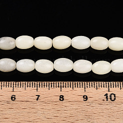 Natural White African Opal Beads Strands&nbsp;G-N346-02B-10