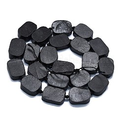 Natural Shungite Beads Strands&nbsp;G-K245-J22-01