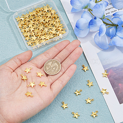 100Pcs Alloy Pendants&nbsp;FIND-DC0005-49