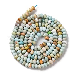 Natural Howlite Beads Strands&nbsp;G-H025-03B-06