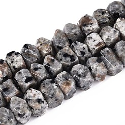 Natural Syenite Beads Strands&nbsp;G-D091-A32