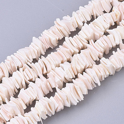 Natural Pink Shell Bead Strands&nbsp;SSHEL-N034-20