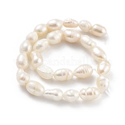 Natural Keshi Pearl Cultured Freshwater Pearl Beads Strands&nbsp;PEAR-P062-34