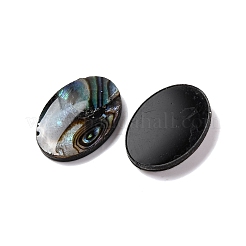 Natural Paua Shell Epoxy Resin Cabochons&nbsp;SSHEL-S279-01B