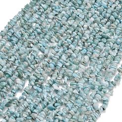 天然石ラリマービーズ連売り  チップ  5~11x4~10x1.2~6mm  穴：0.8mm  15.75''（40センチメートル）&nbsp;G-D109-B03