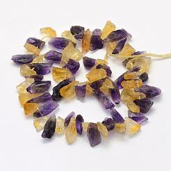 Rough Raw Natural Citrine and Amethyst Beads Strands&nbsp;G-K202-24