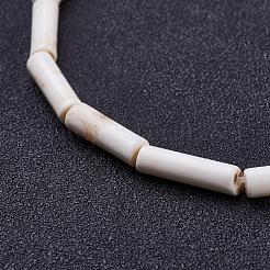Natural Magnesite Beads Strands&nbsp;TURQ-K003-11H