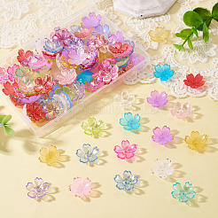 120Pcs 2 Styles Acrylic Bead Caps&nbsp;OACR-TA0004-70