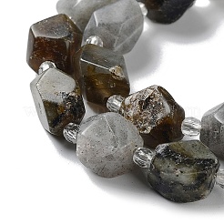 Natural Larvikite Beads Strands&nbsp;G-C182-17-01