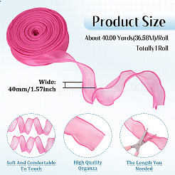 Polyester Mesh Ribbons&nbsp;SRIB-TAC0002-28B-03-1