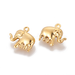 304 Stainless Steel Charms&nbsp;STAS-G191-06G