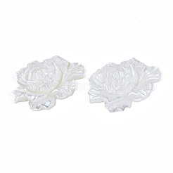 Natural White Shell Link Connectors&nbsp;SSHEL-S258-103A