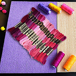 6層ポリエステル刺繍フロス  クロスステッチの糸  セグメント染めグラデーションカラー/クリスマス/秋カラーシリーズ  ピンク  0.5mm  約8.75ヤード（8m）/かせ  18かせ&nbsp;OCOR-WH20074-01B-06