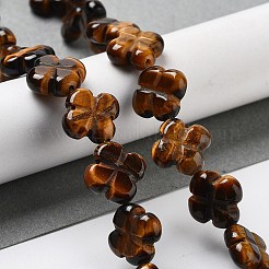 Natural Tiger Eye Beads Strands&nbsp;G-P520-A09-01