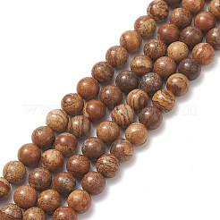 Natural Picture Jasper Round Bead Strands&nbsp;G-G-P070-55-8mm