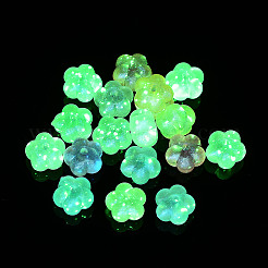 Transparent Acrylic Beads&nbsp;OACR-Z013-18