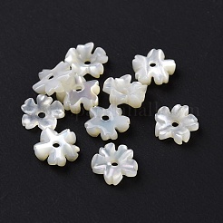 Natural White Shell Beads&nbsp;SHEL-F002-04