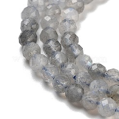 多面カットラウンド天然ラブラドライトビーズ連売り  3mm  穴：1mm  約124個/連  15.5インチ&nbsp;G-I156-03-3mm