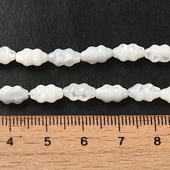 Natural Trochus Shell Beads Strands&nbsp;SHEL-M021-01