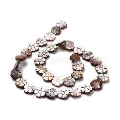 Natural Purple Shell Beads Strands&nbsp;SSHEL-G023-13A