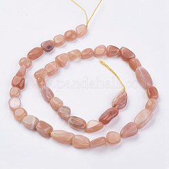 Natural Sunstone Beads Strands&nbsp;G-F439-04