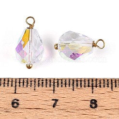 Electroplate Glass Teardrop Charms&nbsp;STAS-N110-13G