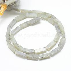 Natural Labradorite Bead Strands&nbsp;G-R299-19