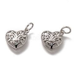 Brass Micro Pave Clear Cubic Zirconia Charms&nbsp;ZIRC-B002-62