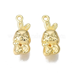 Brass Charms&nbsp;KK-N231-324