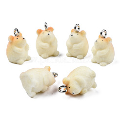 Flocky Resin Pendants&nbsp;RESI-N032-07