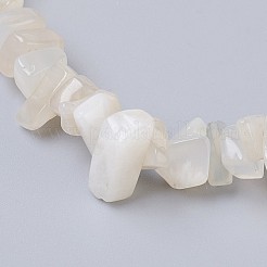 Natural White Moonstone Stretch Bracelets&nbsp;BJEW-JB03681-09