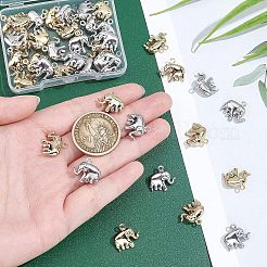 40Pcs 2 Colors 304 Stainless Steel Charms&nbsp;STAS-UN0030-08