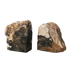 Natural Petrified Wood Decorative Bookends&nbsp;AJEW-H157-11