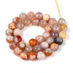 Dyed & Heated Natural Fire Crackle Agate Beads Strands&nbsp;G-N359-01B-10